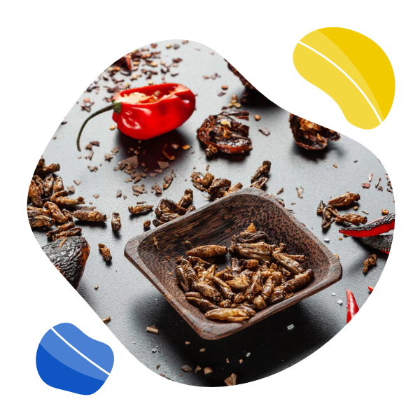 Sens Křupaví & pražení cvrčci 