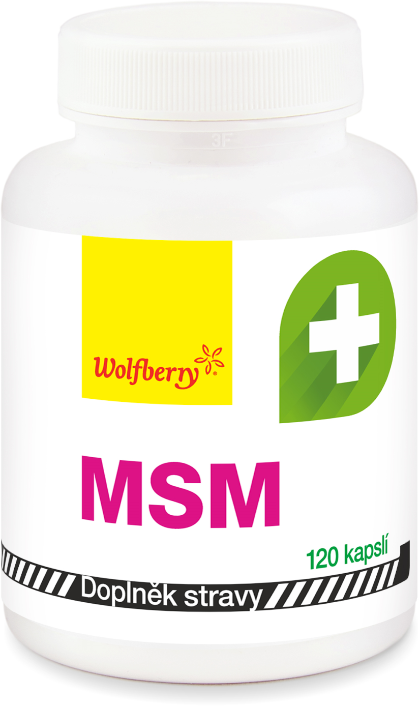 Wolfberry MSM 120 kapslí