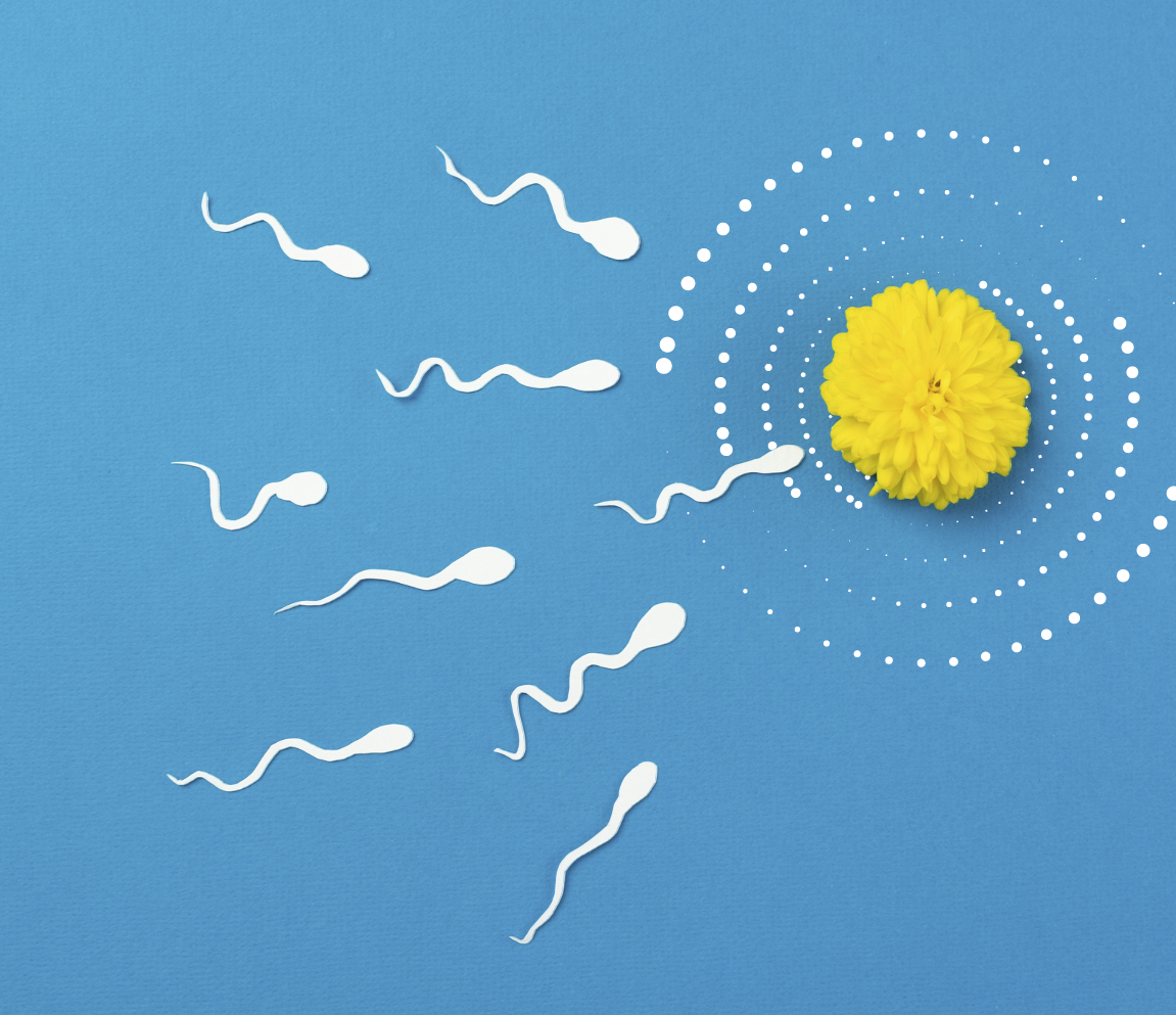 Conceive Plus
