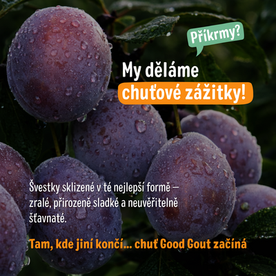 Good Goût BIO Švestka 120 g