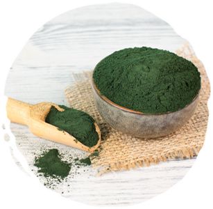 Spirulina