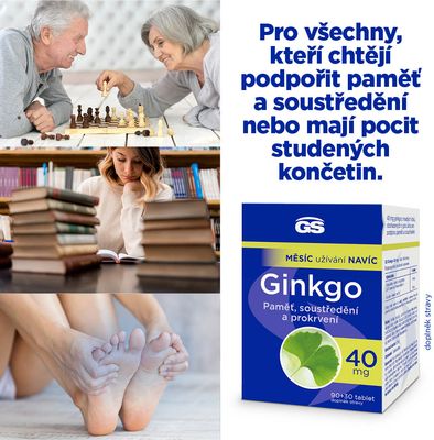 GS Ginkgo 40mg 90 + 30 tablet