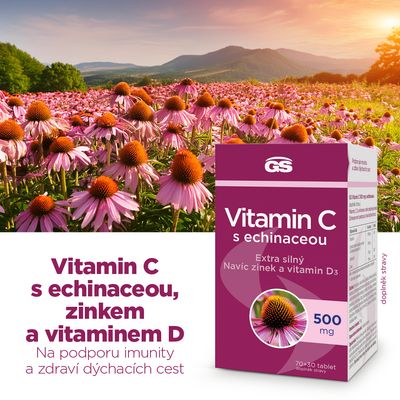 GS Vitamin C s echinaceou 100 tablet