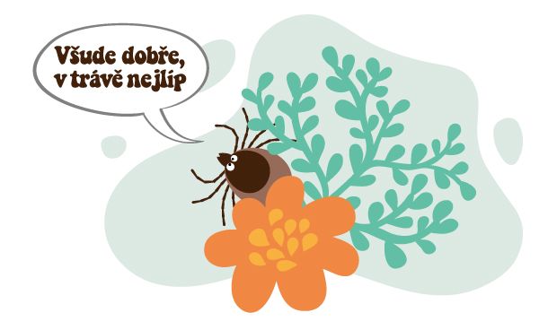 Kde se klíště vyskytuje?