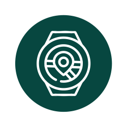 ikona