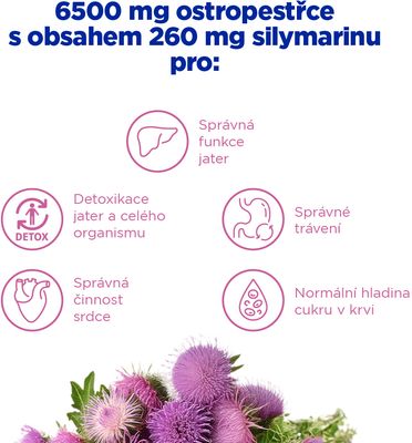 GS Ostropestřec 6500 mg, 60 + 10 tablet
