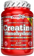 Amix Creatine monohydrate 1000 g