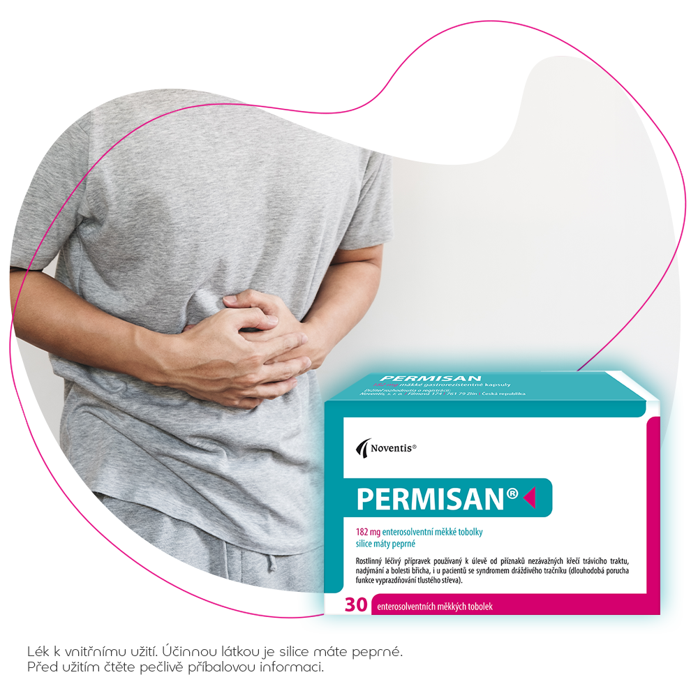 Permisan