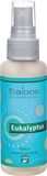 Saloos Natur aroma airspray Eukalyptus 50 ml