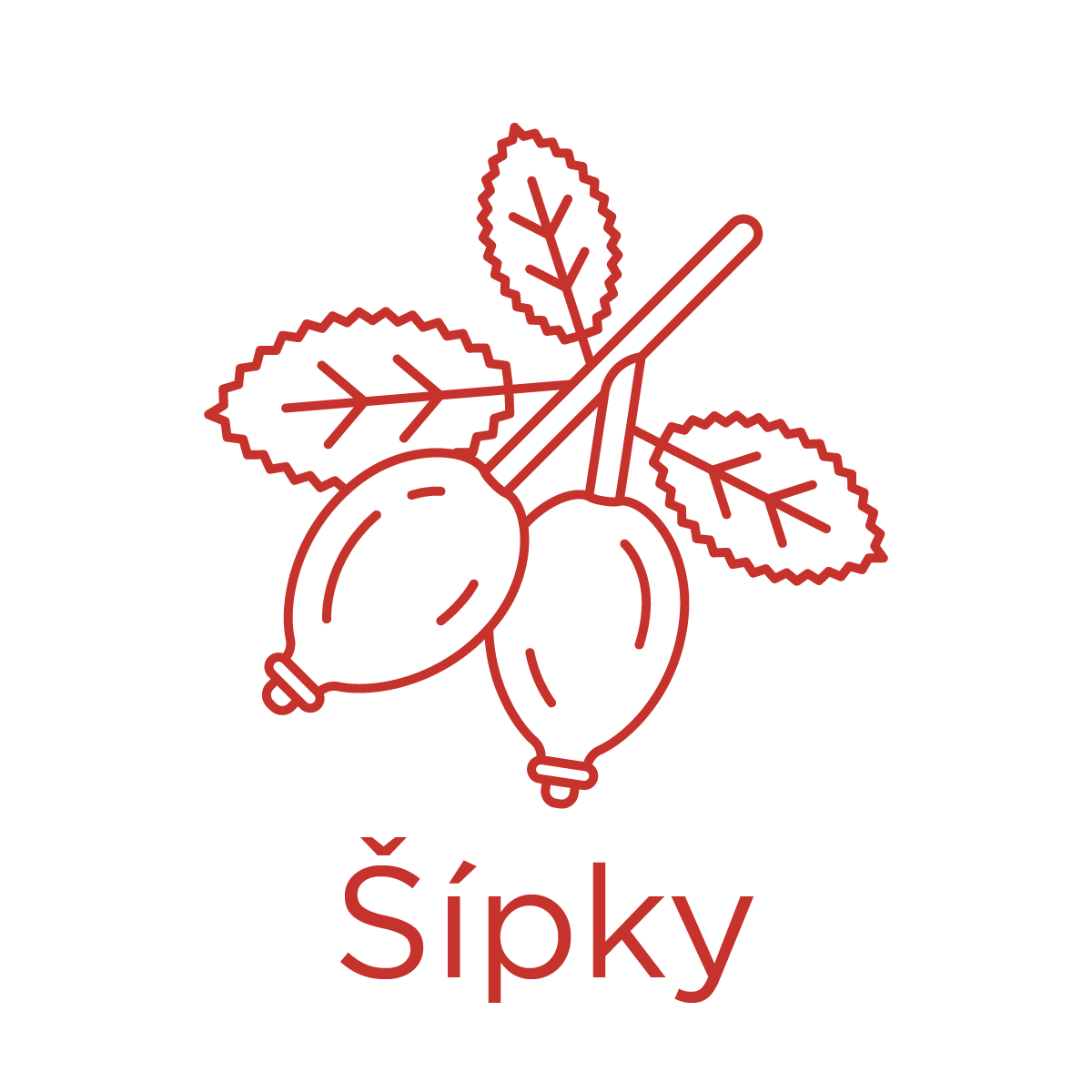 Šípky