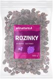 Allnature Rozinky 500 g