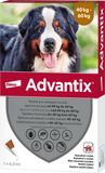 Advantix pro psy 40-60 kg spot-on 6 ml
