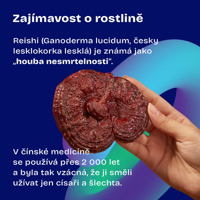 Daily Pure Reishi 90 kapslí