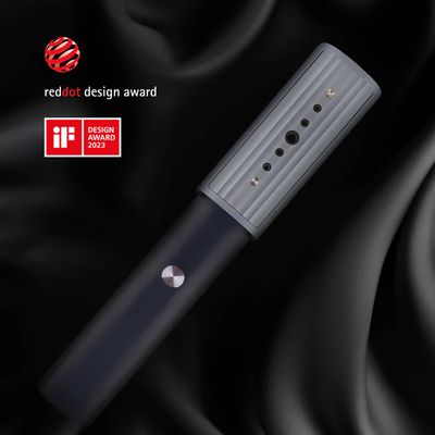 Lauben Handheld Steam Iron 900GB