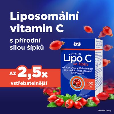 GS Vitamin Lipo C 500mg se šípky 100 kapslí