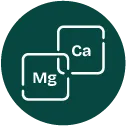 magnesium a vapnik