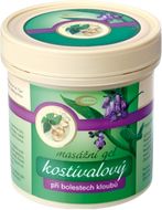 Green Idea Kostivalový gel 250 ml
