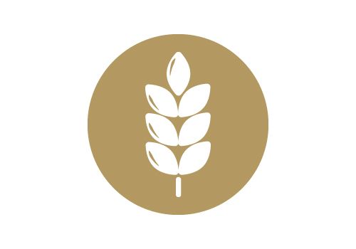Proven, doplnok stravy, určené pre ženy, lactobacillus, extrakt s brusníc, vitamín B, trávenie, Neobsahuje glutén