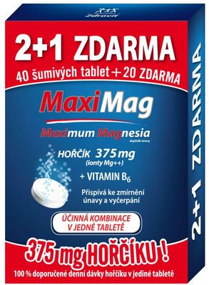 Zdrovit Hořčík+B6 60 šumivých tablet