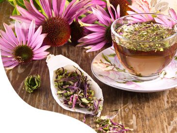 echinacea, GS Echinacea FORTE 600, 30 tabliet
