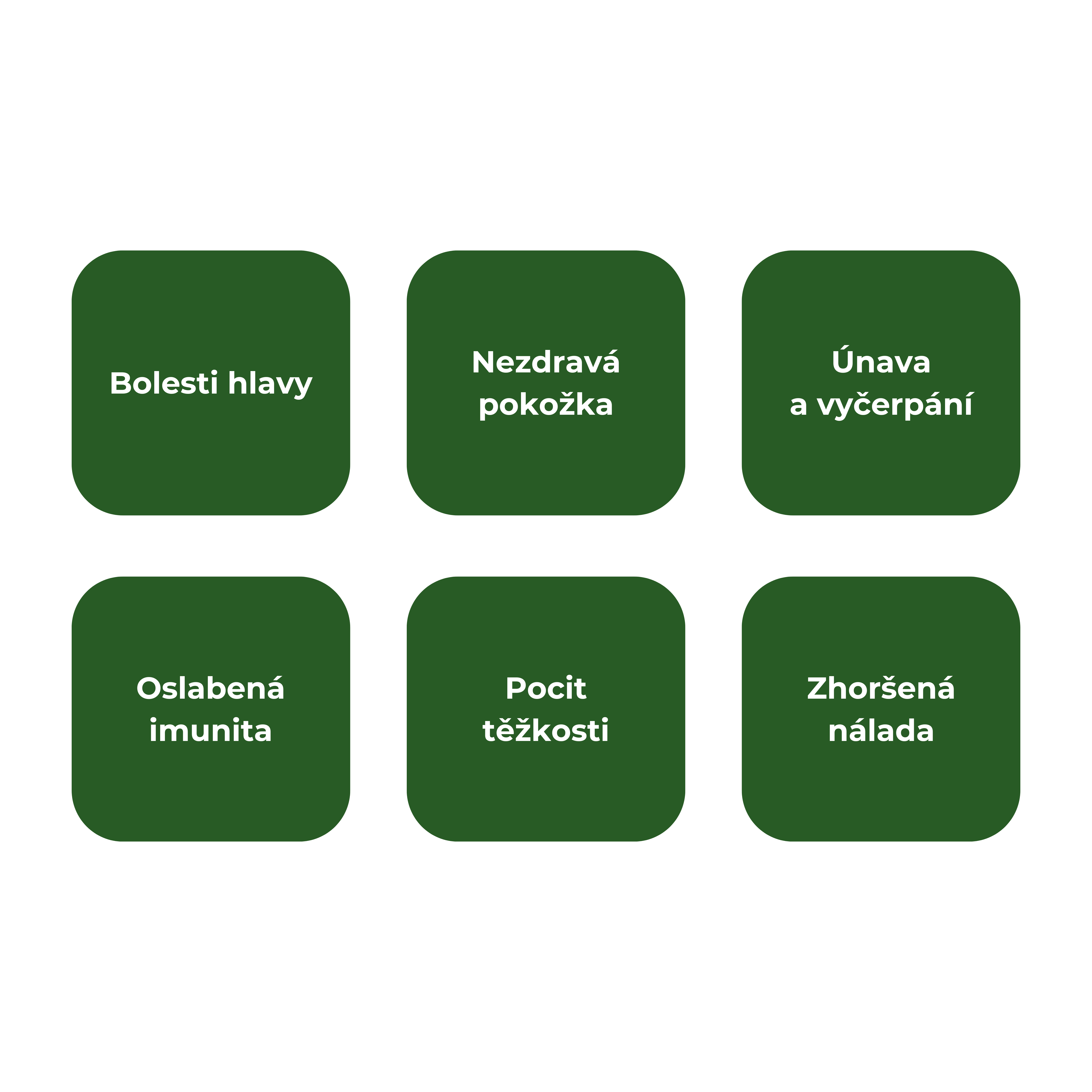 Odvodnění, podpora funkcí jater, ledviny, zdraví gastrointestinálního traktu