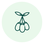 ikona