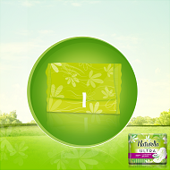 Naturella DHV Ultra Normal 10 ks
