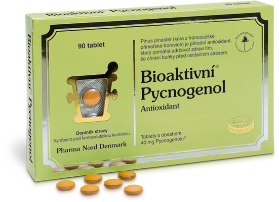 Bioaktivní Pycnogenol 90 tablet