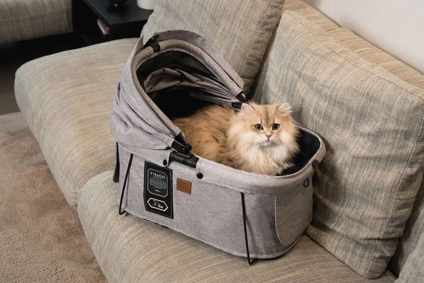 FIKAGO Nosič pro psy a kočky Sway2 Grey Husky