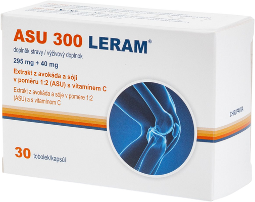 Leram ASU 300 30 tobolek