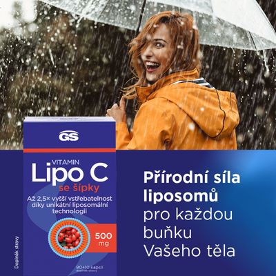 GS Vitamin Lipo C 500mg se šípky 100 kapslí