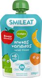 Smileat BIO ovocná kapsička broskev, banán, jablko a hruška 6M+ 1 x 100 g