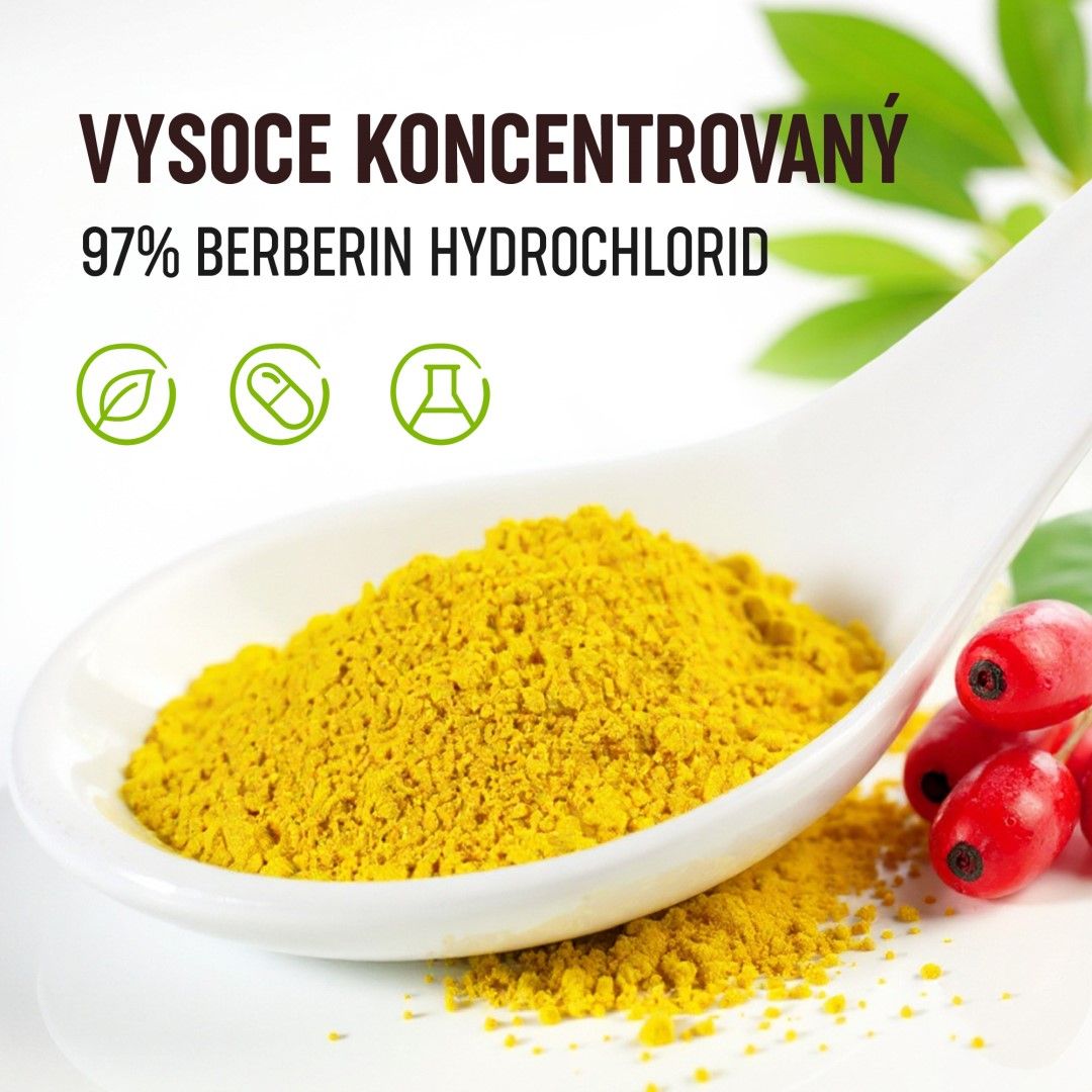 Organis Berberin 30 kapslí