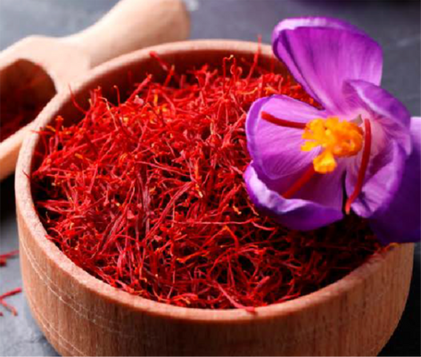 Eric Favre CHRONOERECT + EXTRA FORT 4 kapslí