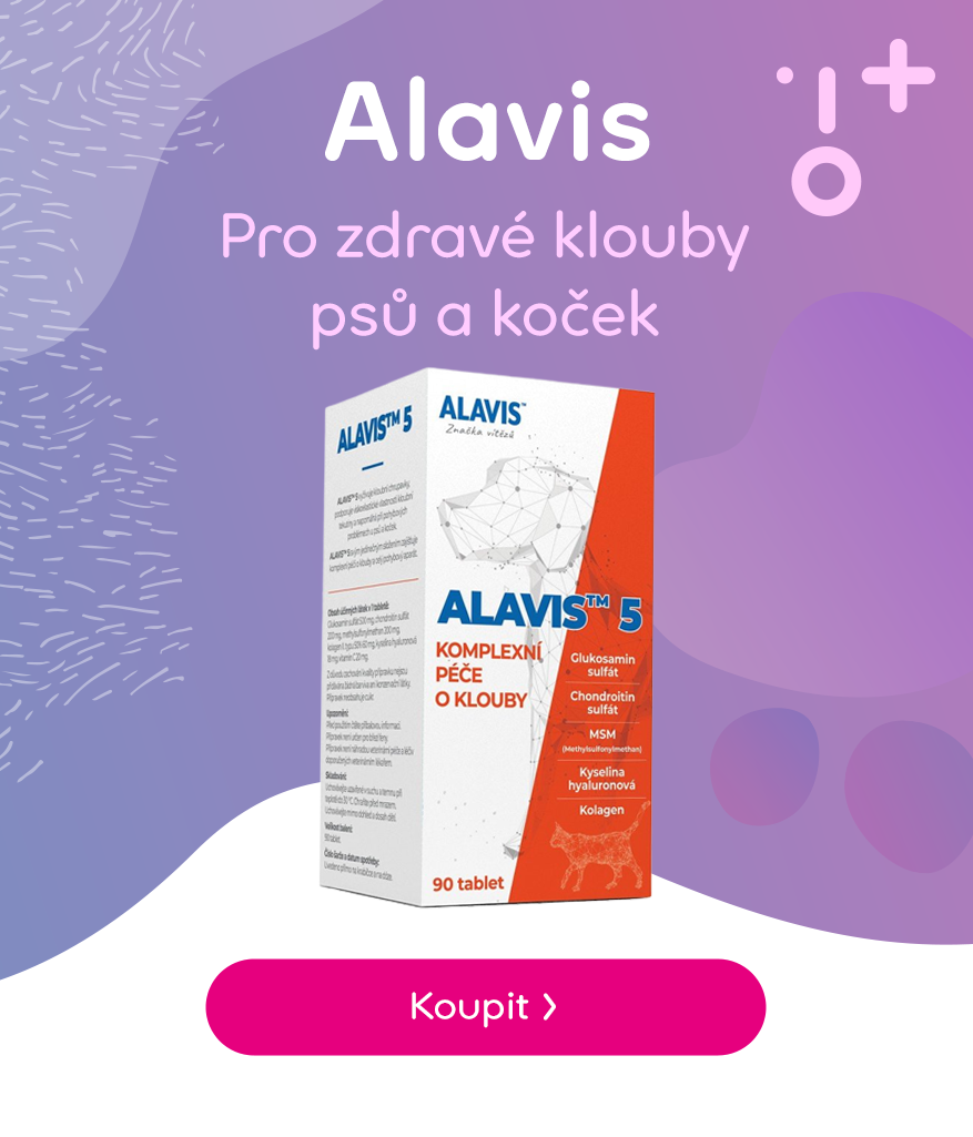 Alavis