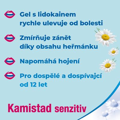 Kamistad ústní gel při zánětu a bolesti dásní 10 g