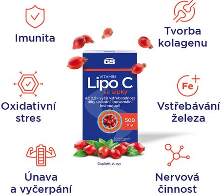 GS Vitamin Lipo C 500mg se šípky 100 kapslí