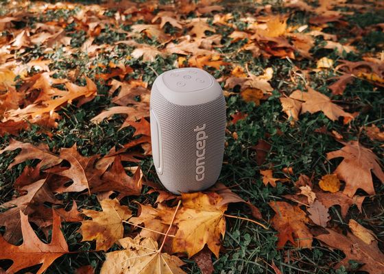 Concept BR5021 Bezdrátový reproduktor SoundJoy white