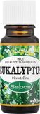 Saloos Eukalyptus - Čína 10 ml