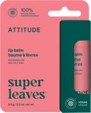 Attitude Balzám na rty s vůní melounu 8.5 g