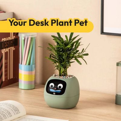 Plantosio Ivy Inteligentní květináč gen 2 růžový