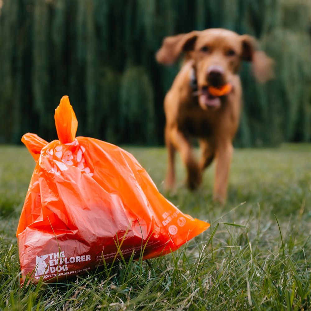 Explorer dog Sáčky recyklované na psí hovínka 4 x 15 ks
