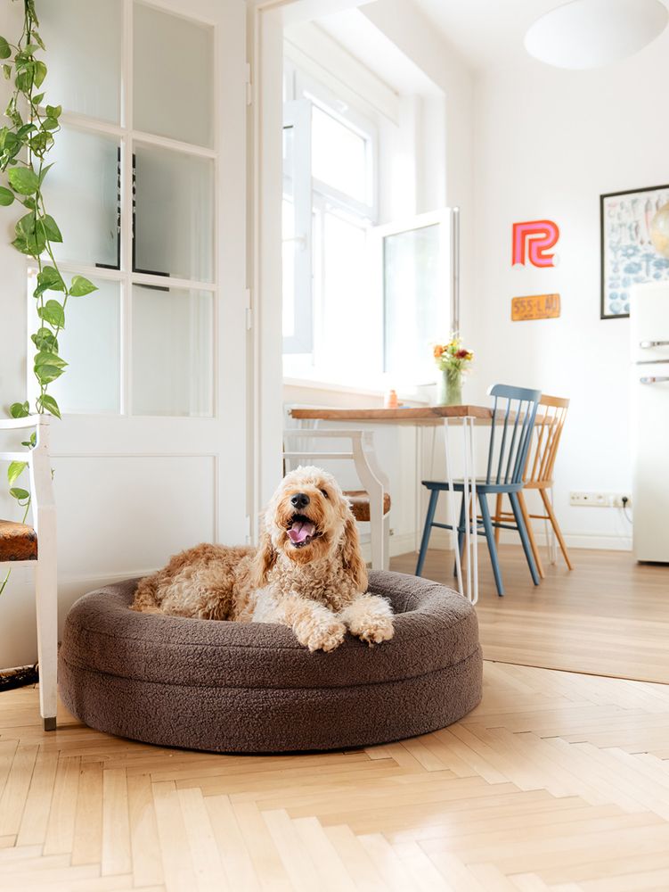 Explorer dog Pelech ortopedický Dognut Espresso Brown 100 cm