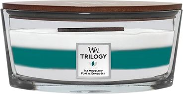 WoodWick Trilogy vonná svíčka loď, Icy woodland 454 g