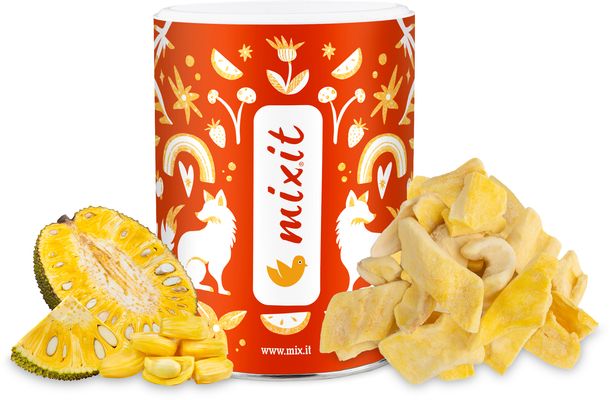 Mixit Křupavé ovoce - Jackfruit 60 g