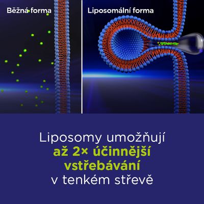 GS Lipo Ginkgo paměť+ 60 mg 60 tablet