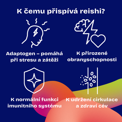 Daily Pure Reishi 90 kapslí