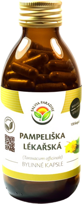 Salvia Paradise Pampeliška lékařská 120 kapslí