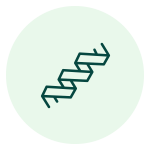 ikona