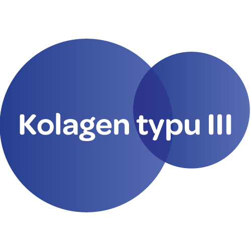 Dias forte kolagen, pro zdravé kosti,klouby, chrupavky, s příchutí granátového jablka, Kolagen typu III